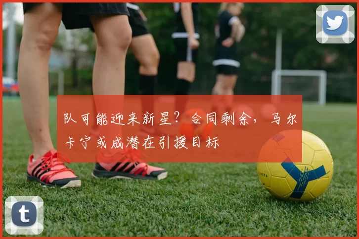 队可能迎来新星？合同剩余，马尔卡宁或成潜在引援目标